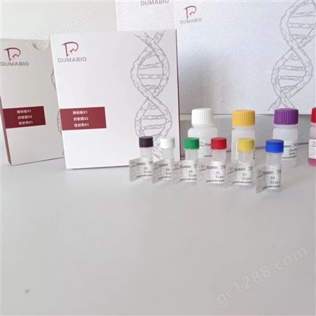 销售胰岛素ELISA试剂盒实验原理