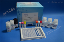 人过氧化还原酶6（PRDX6）ELISA试剂盒
