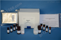 小鼠血幼素（HJV）ELISA试剂盒